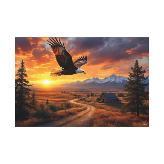 Eagle Sunset