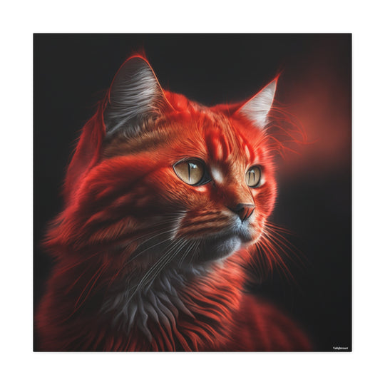 Red Cat Portrait